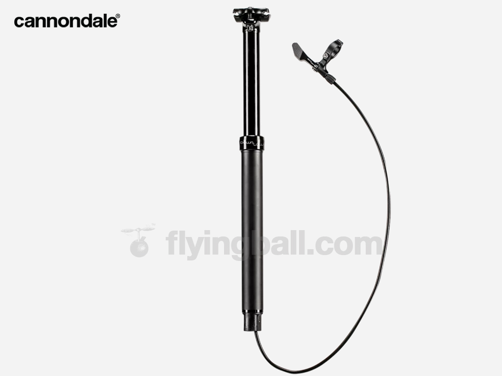 CANNONDALE DOWNLOW DROPPER 坐通